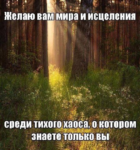 вам мира и исцеления среди тихого хаоса, о котором знаете только вы
