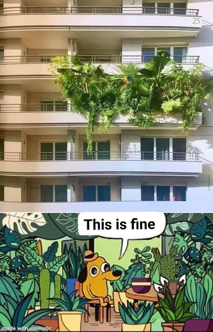 i This is fine A made with mematic