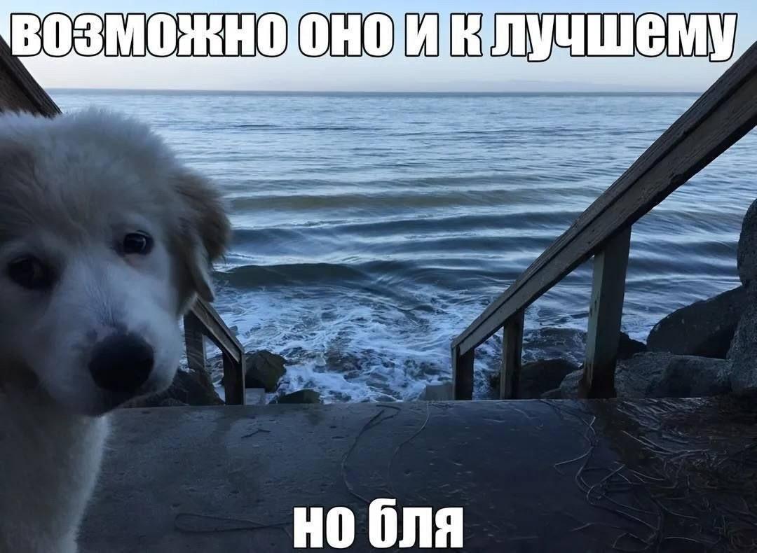В