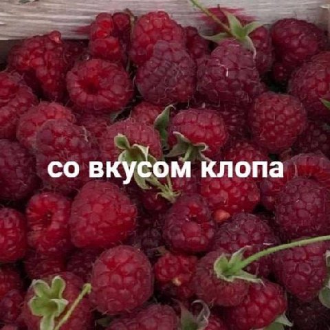 вкусом клопа