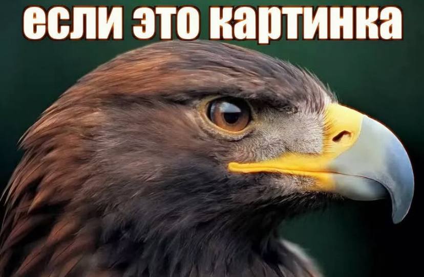 если это картинка А