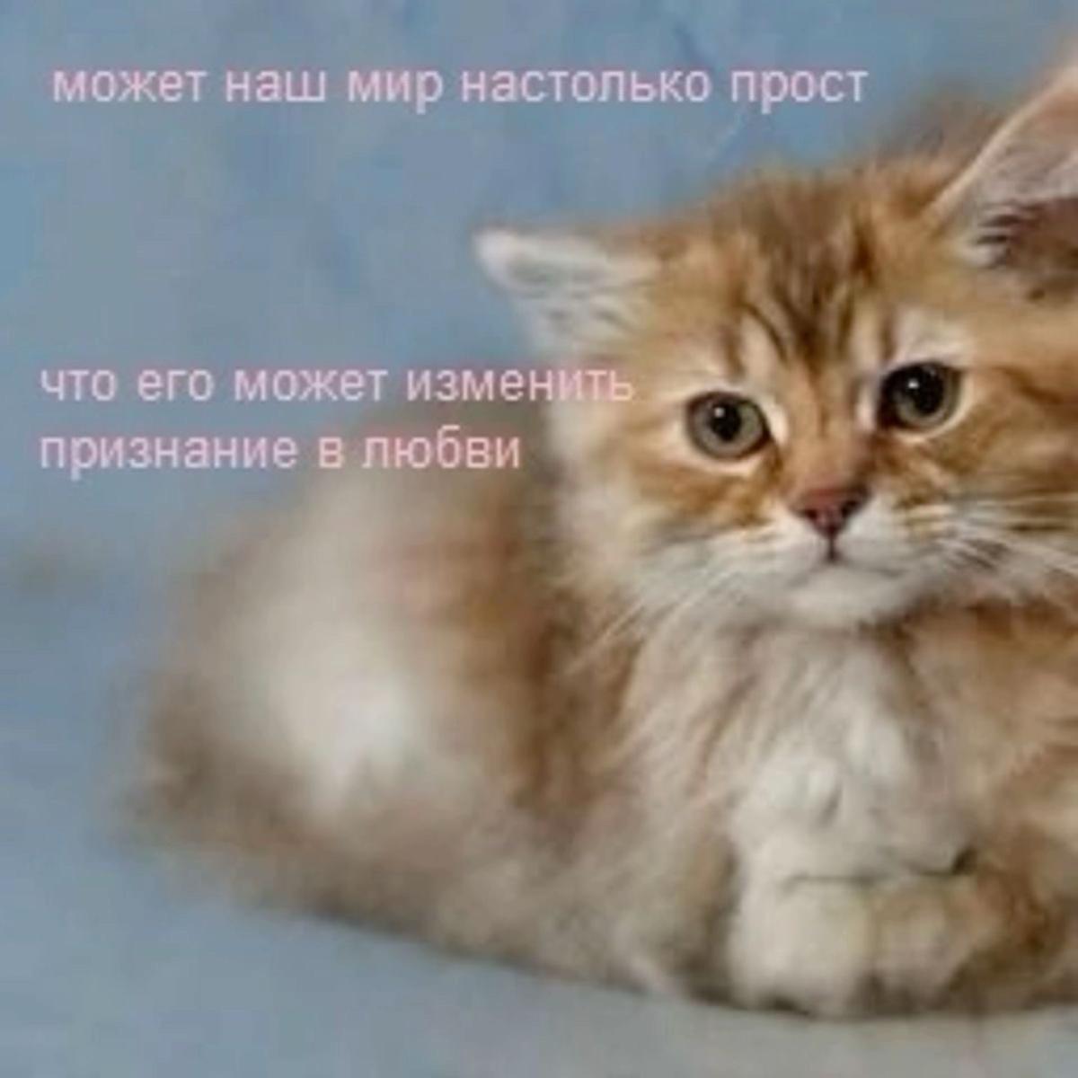 может наш мир настолько прост 2 что его может изме признание в.рюбви 4