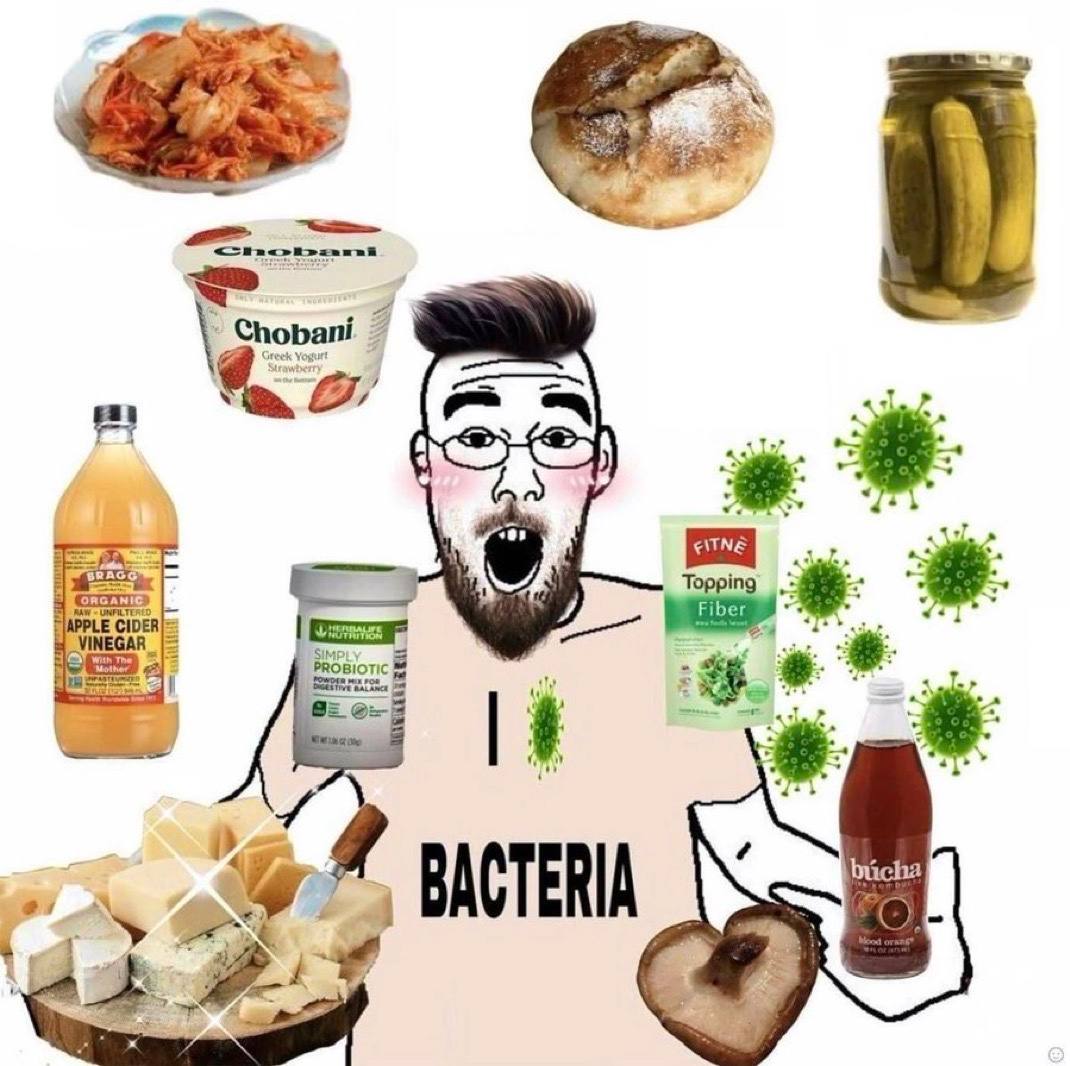 a Topping fit 4 BACTERIA 4 4