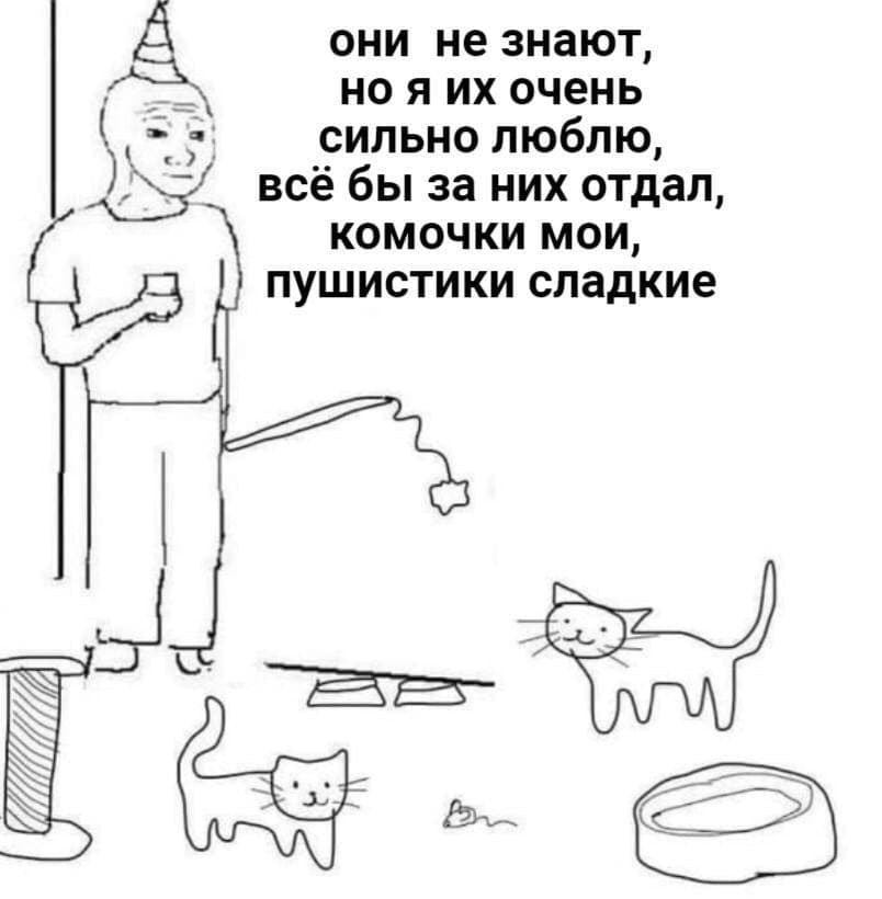 А они не знают, но я очень сильно люблю, всё бы за них отдал, комочки мои, пушистики сладкие bes