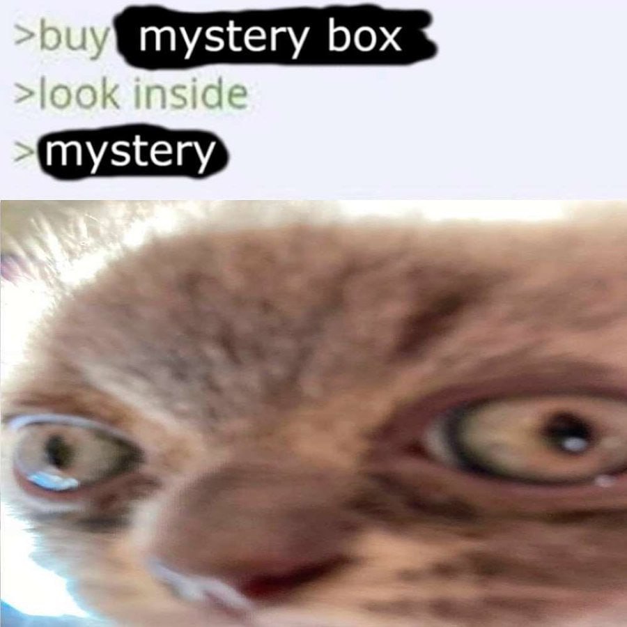 mystery box 4 >look inside