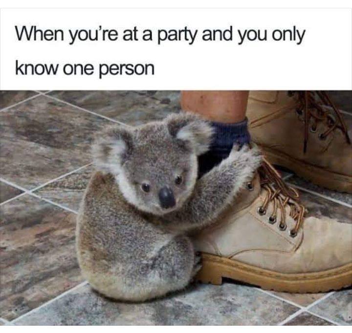 When you're at a party and you only one person „в!
