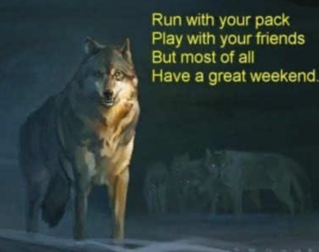 Run with your pack Play with your friends But most of all Have a great weekend