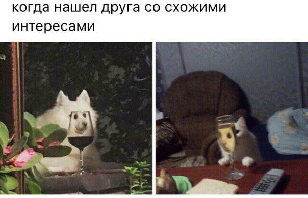 когда нашел друга схожими интересами