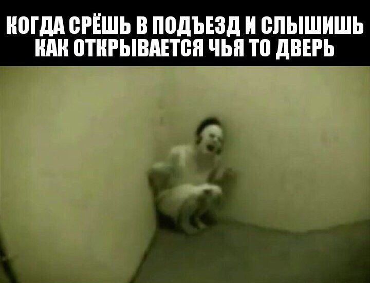 КОГДА СРЕШЬ В ПОДЪЕЗД И СЛЫШИШЬ ВАК ОТКРЫВАЕТСЯ ЧЬЯ ТО ДВЕРЬ