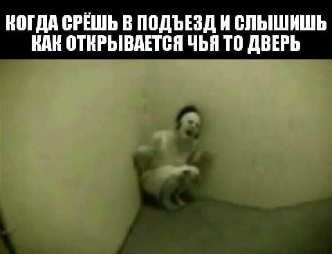 КОГДА СРЕШЬ В ПОДЪЕЗД И СЛЫШИШЬ ВАК ОТКРЫВАЕТСЯ ЧЬЯ ТО ДВЕРЬ