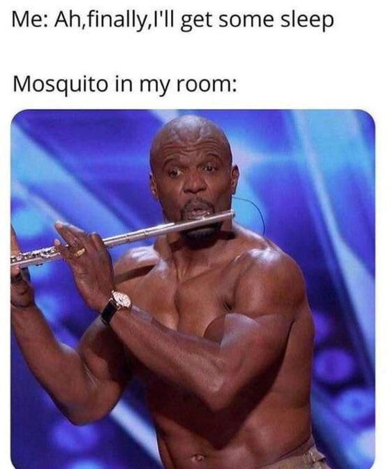 Me: get some sleep Mosquito in my room:
