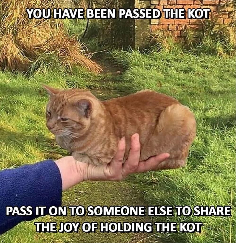 YOU HAVE BEEN PASSED THE PASS ТОМ TO SOMEONE ELSE ТО:5НАКЕ: JOY OF HOLDING THE у