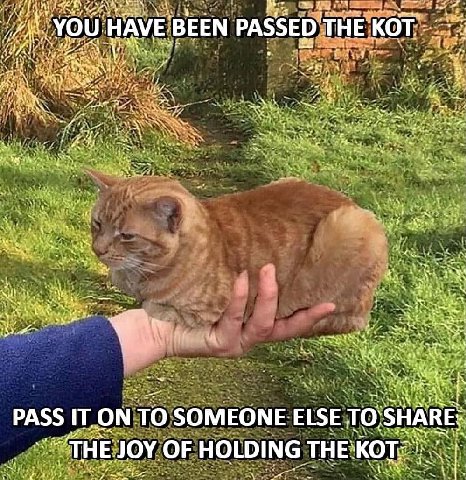 YOU HAVE BEEN PASSED THE PASS ТОМ TO SOMEONE ELSE ТО:5НАКЕ: JOY OF HOLDING THE у