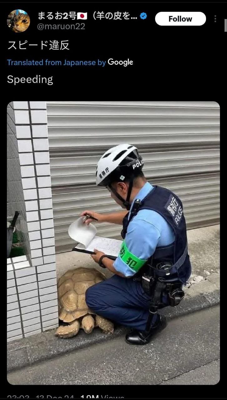 @maruon22 Translated from Japanese Google Speeding 14 5 к 42 Я