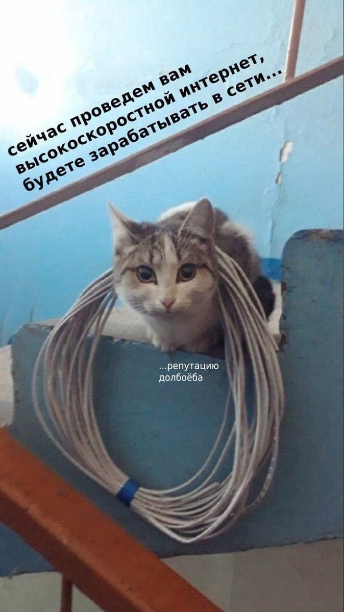 we 0° woe ..репутацию долбоёба