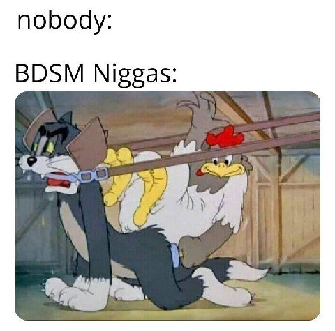 nobody: BDSM Niggas: