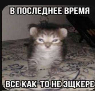 В ПОСЛЕДНЕЕ ВРЕМЯ ВСЕ КАК-ТО НЕ ЭЩКЕРЕ