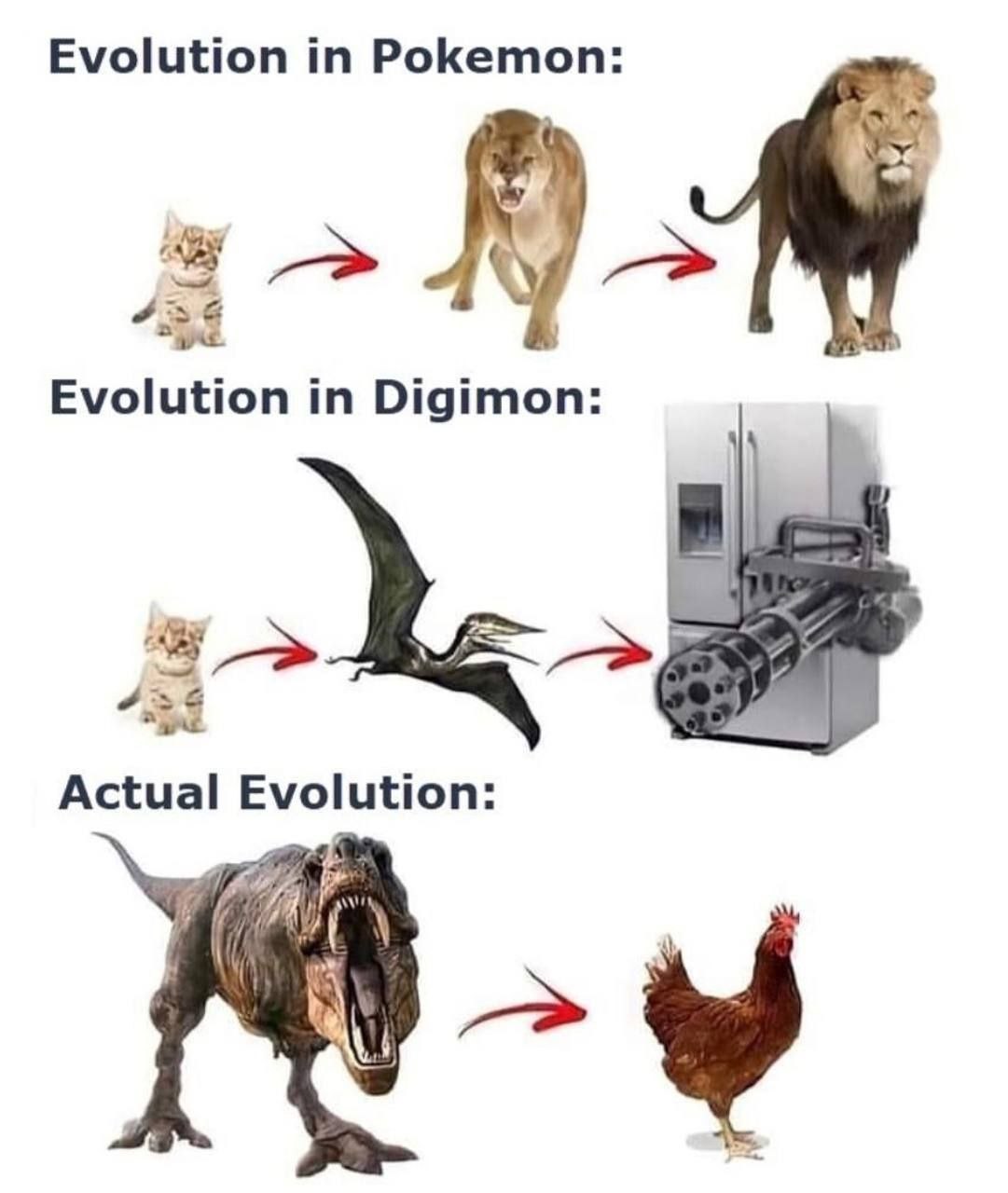 Evolution Pokemon: Evolution in Digimon: Actual Evolution: