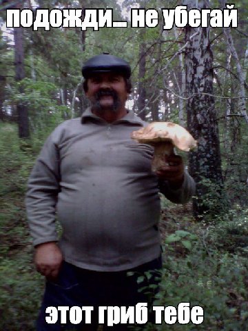 подожди. убегай этот гриб тебе