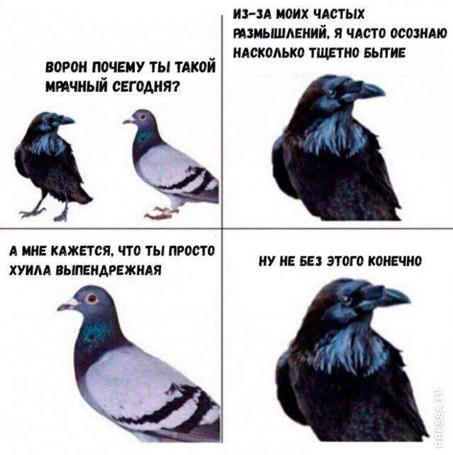 ЯМЫ - хуила выпендрёжная