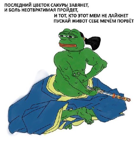 ПОСЛЕДНИЙ ЦВЕТОК САКУРЫ ЗАВЯНЕТ, И БОЛЬ НЕОТВРАТИМАЯ ПРОЙДЕТ, И ТОТ, КТО ЭТОТ МЕМ НЕ ЛАЙКНЕТ ПУСКАЙ ЖИВОТ СЕБЕ МЕЧЁМ ПОРВЁТ