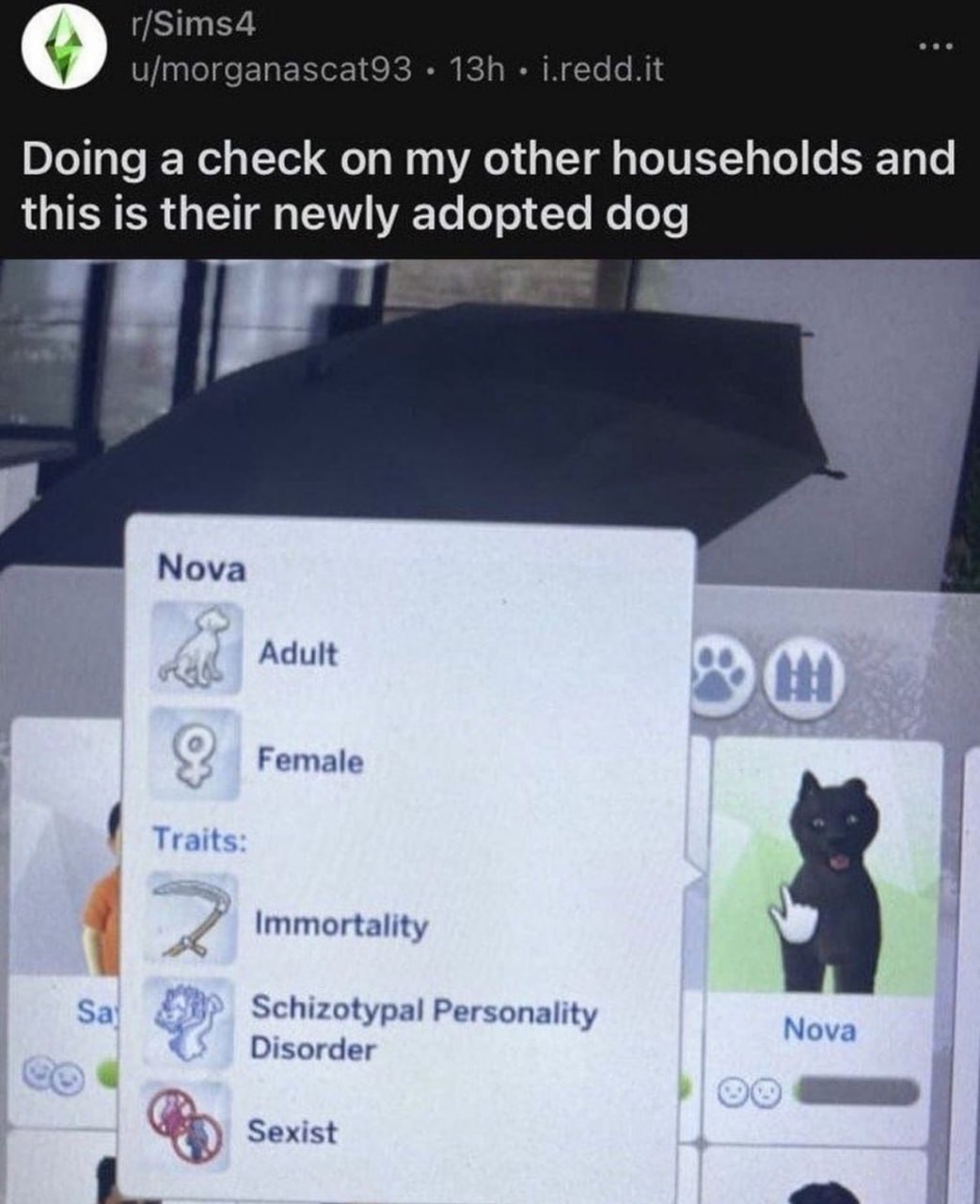 r/Sims4 i.redd.it u/morganascat93 Doing a check on my other households and this is their newly adopted dog Nova Adult Female Trait Immortality Schizotypal Personality Nova Disorder sons