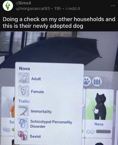 r/Sims4 i.redd.it u/morganascat93 Doing a check on my other households and this is their newly adopted dog Nova Adult Female Trait Immortality Schizotypal Personality Nova Disorder sons