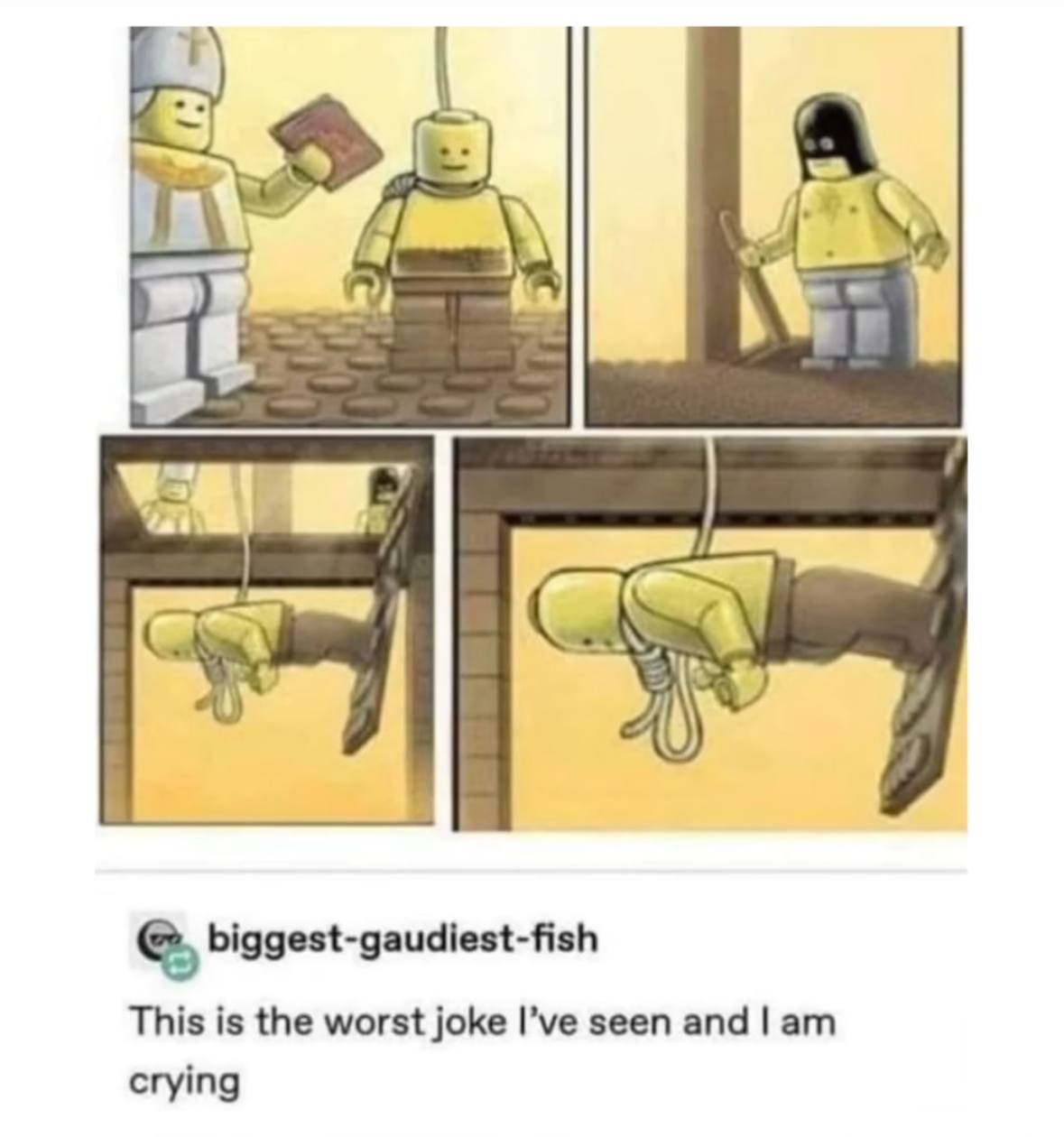 2 biggest-gaudiest-fish This is the worst joke seen and crying