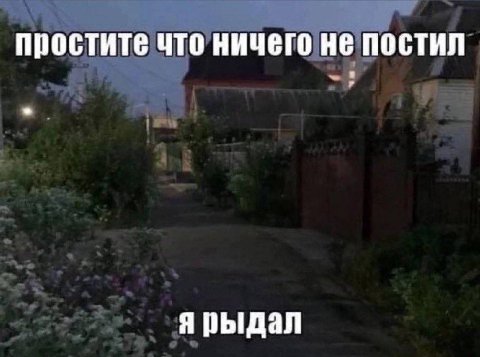 Простите ЧТО НИЧЕГО не ПОСТИЛ я рыдал