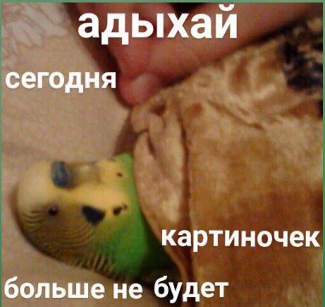 адыхай сегодня картиночек больше не будет