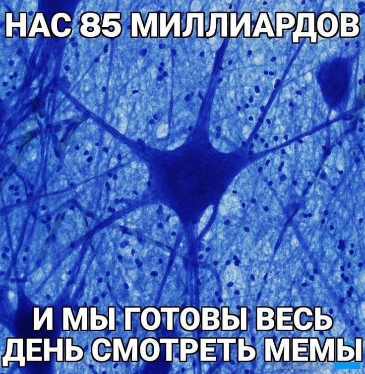 НАС 85 МИЛЛИАРДОВ МЫ ГОТОВЫ ВЕСЬ ДЕНЬ СМОТРЕТЬ МЕМЫ