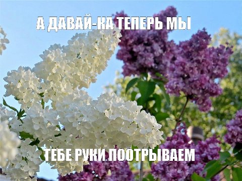 ТЕПЕРЬ МЫ ‘4 Я a of у Pat РУНИ ПООТРЫВАЕМ