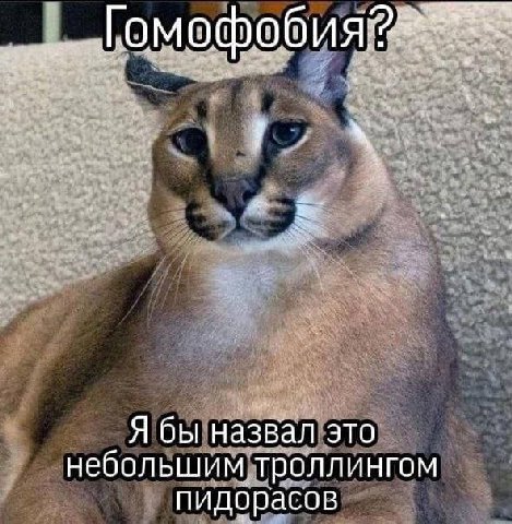 гомофобия? я бы назвал это небольшим троллингом пидорасов