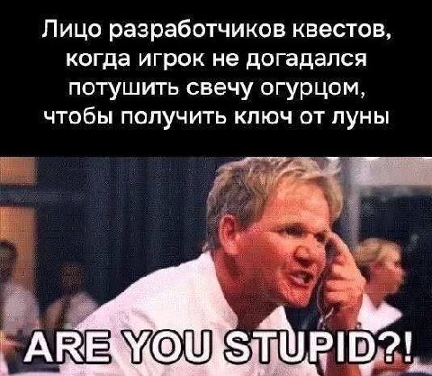 Лицо разработчиков квестов, когда игрок не догадался потушить свечу огурцом, чтобы получить ключ от луны и