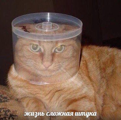 won “a жизнь сложная