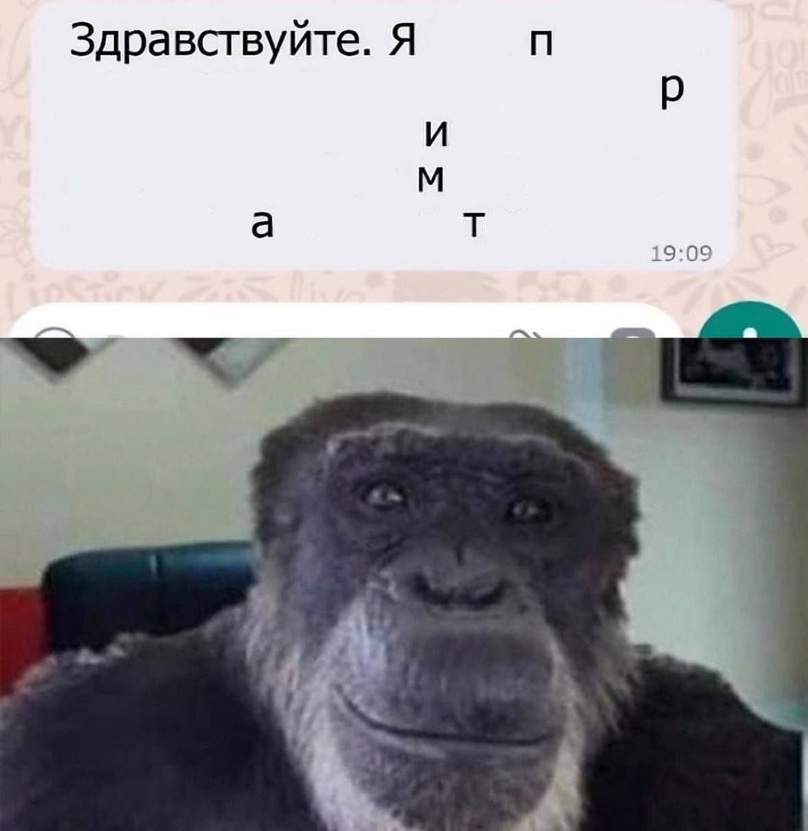 Здравствуйте. Я и а 19:09