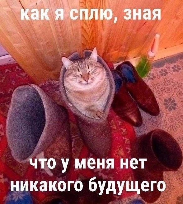 как я сплю, зная что у меня нет никакого будущего