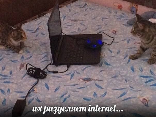 разделяет