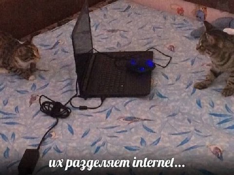 разделяет