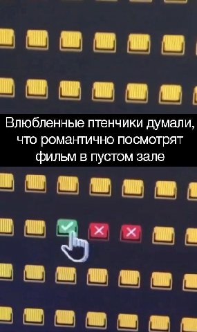 Влюбленные птенчики думали, что романтично посмотрят фильм в пустом зале