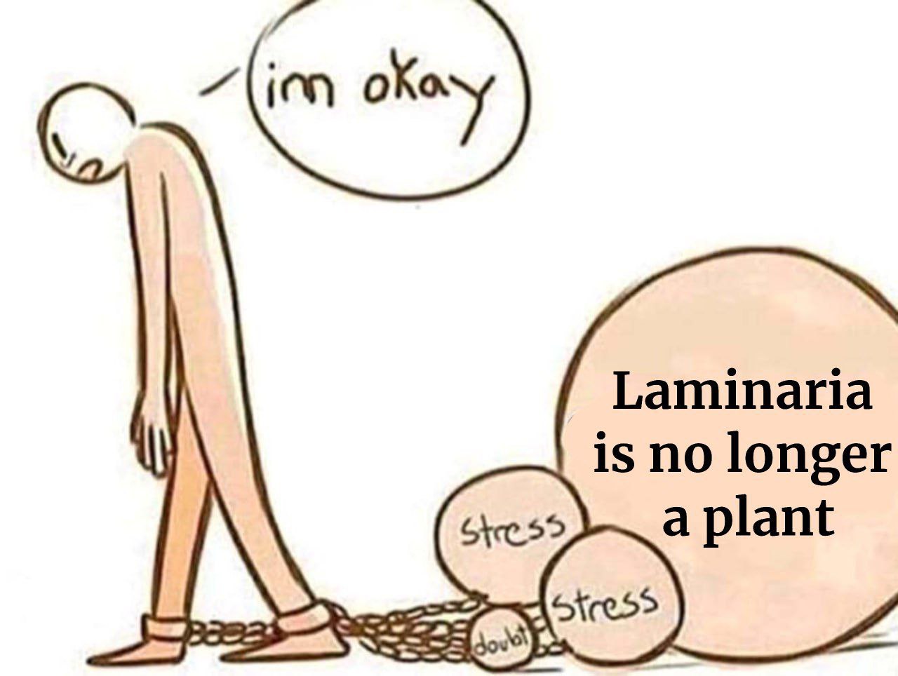 Laminaria is no longer a plant