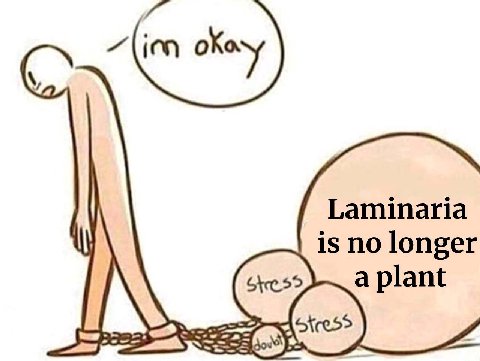 Laminaria is no longer a plant