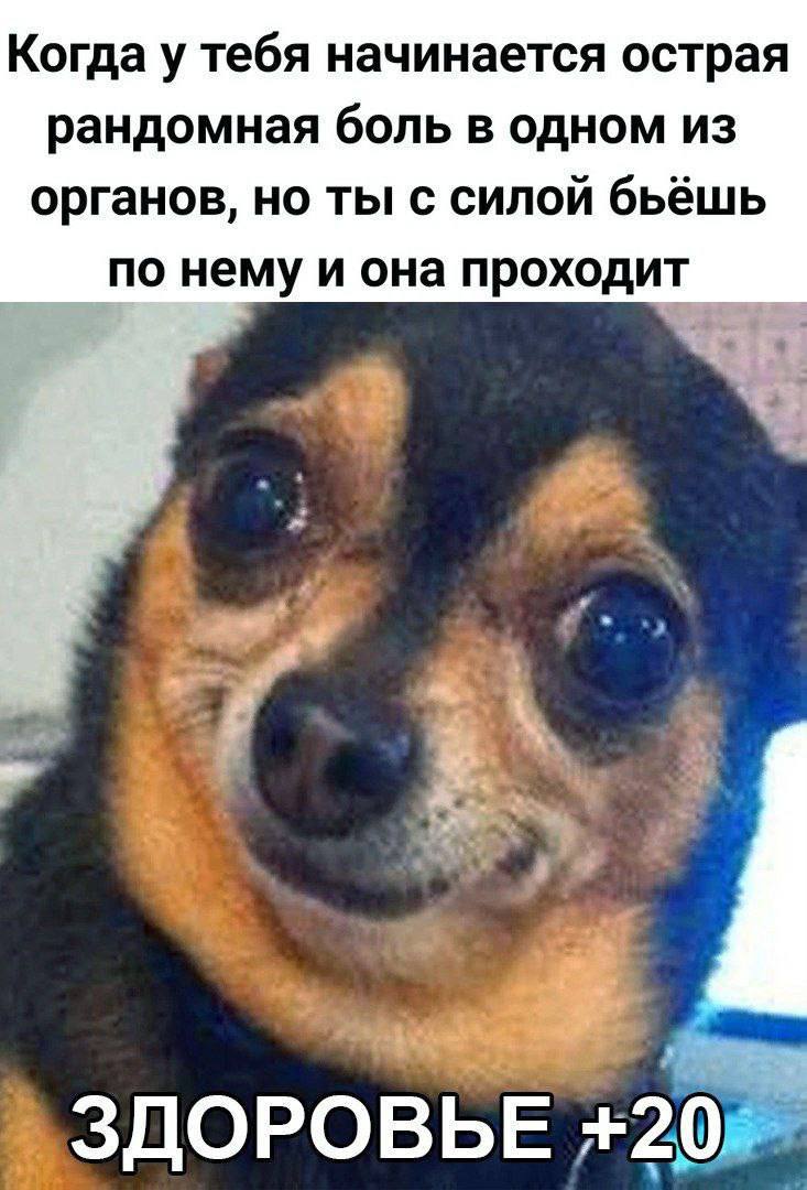 Когда у тебя начинается острая рандомная боль в одном из органов, но ты с силой бьёшь по нему и она проходит ЗДОРОВЬЕ +20