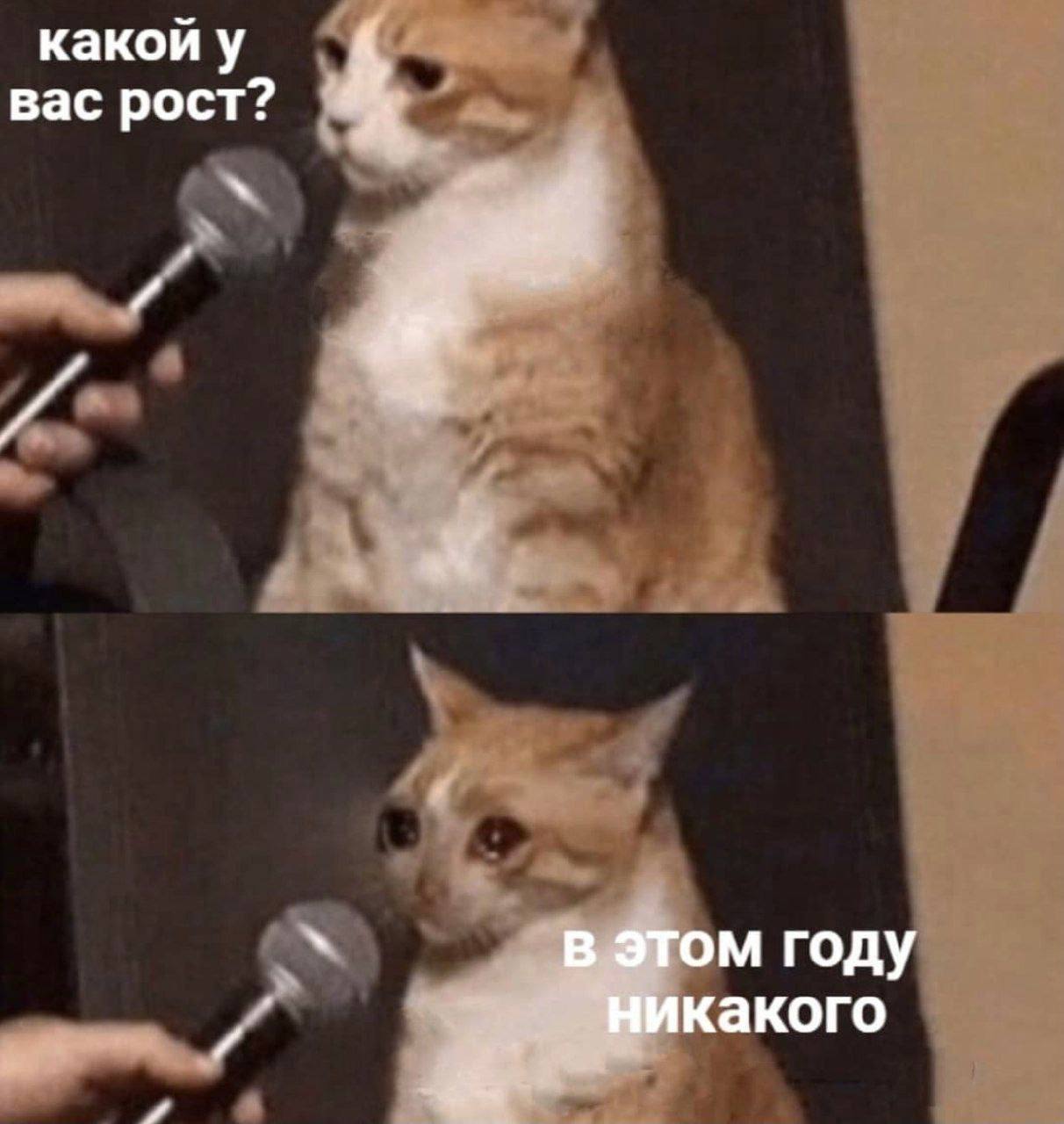 какои у вас рост? Я a в этом году никакого