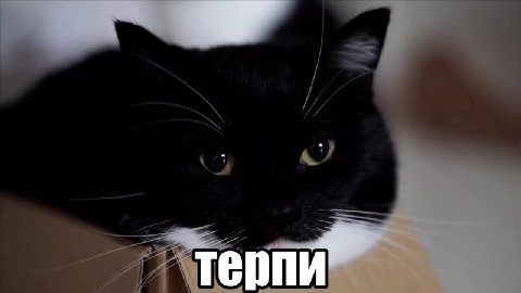 терпи”
