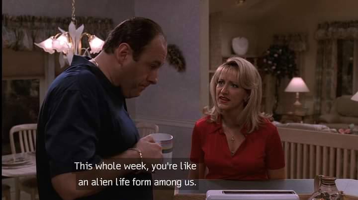 This whole week, you're like an alien life form among