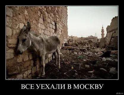 ВСЕУЕХАЛИ В МОСКВУ