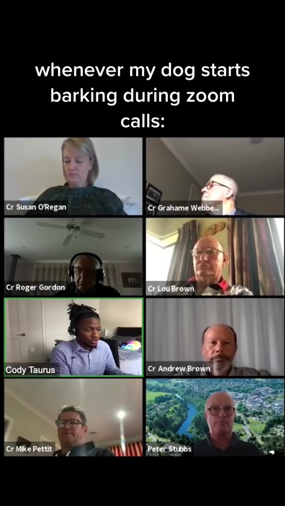 whenever ту dog starts barking during zoom ORegan ГА Cr Grahame We Cr Roger Gordon mj an м Brown 4“ | Cody Taurus SUNY MMM cr Andrewsrown CrRoger Gordon | ws, ‘Cody Taurus Cr Andrew Br Fas Г