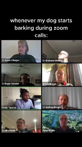 whenever ту dog starts barking during zoom ORegan ГА Cr Grahame We Cr Roger Gordon mj an м Brown 4“ | Cody Taurus SUNY MMM cr Andrewsrown CrRoger Gordon | ws, ‘Cody Taurus Cr Andrew Br Fas Г