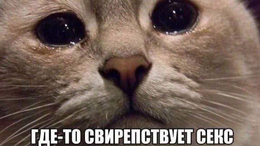 напоминаю